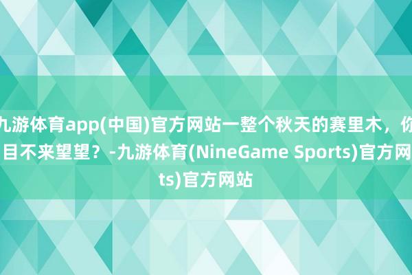 九游体育app(中国)官方网站一整个秋天的赛里木，你细目不来望望？-九游体育(NineGame Sports)官方网站